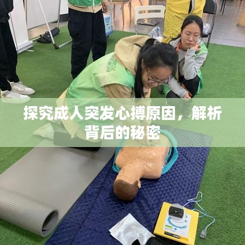 探究成人突發(fā)心搏原因，解析背后的秘密