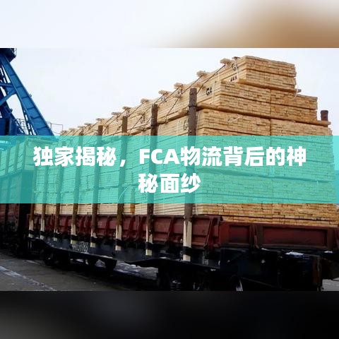 獨家揭秘，FCA物流背后的神秘面紗
