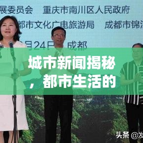 城市新聞揭秘，都市生活的真實(shí)面貌深度報(bào)道
