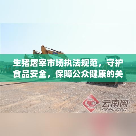 生豬屠宰市場執(zhí)法規(guī)范，守護(hù)食品安全，保障公眾健康的關(guān)鍵環(huán)節(jié)