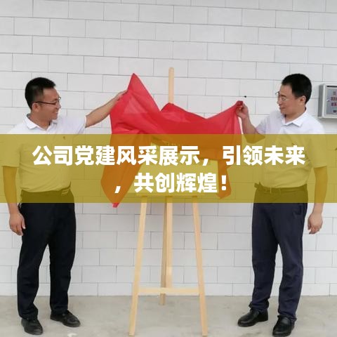 公司黨建風(fēng)采展示，引領(lǐng)未來(lái)，共創(chuàng)輝煌！
