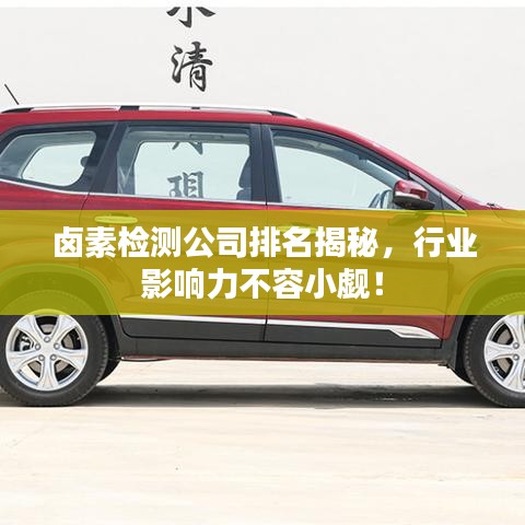 鹵素檢測公司排名揭秘，行業(yè)影響力不容小覷！
