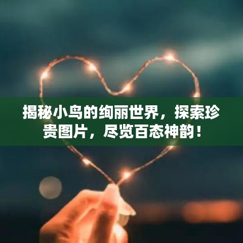 揭秘小鳥的絢麗世界，探索珍貴圖片，盡覽百態(tài)神韻！