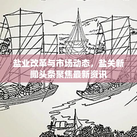 鹽業(yè)改革與市場動態(tài)，鹽關(guān)新聞頭條聚焦最新資訊