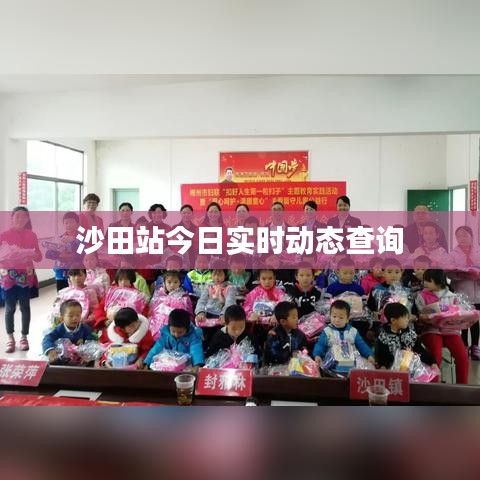 沙田站今日實時動態(tài)查詢