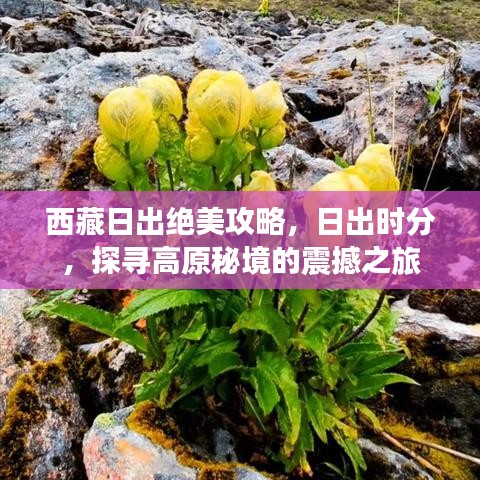 西藏日出絕美攻略，日出時(shí)分，探尋高原秘境的震撼之旅