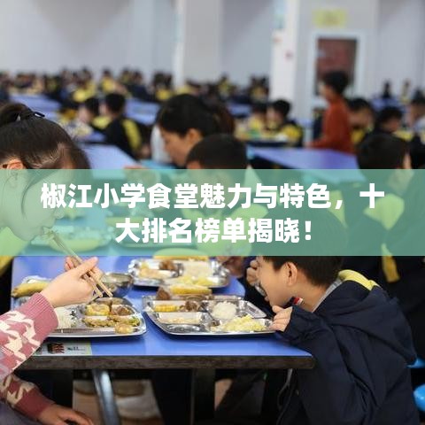 椒江小學(xué)食堂魅力與特色，十大排名榜單揭曉！