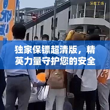 獨(dú)家保鏢超清版，精英力量守護(hù)您的安全