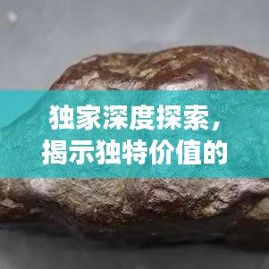 獨家深度探索，揭示獨特價值的奧秘之旅