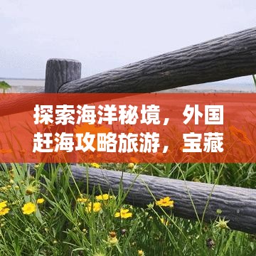 探索海洋秘境，外國趕海攻略旅游，寶藏之旅開啟！