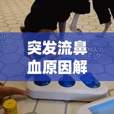 突發(fā)流鼻血原因解析，處理及預(yù)防措施全攻略