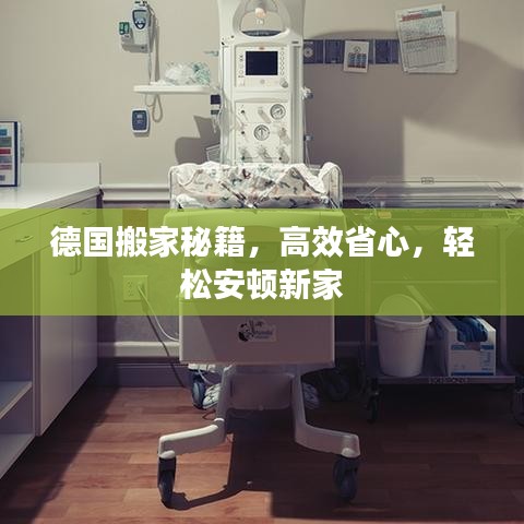 德國搬家秘籍，高效省心，輕松安頓新家