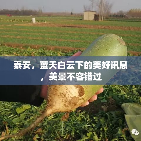 泰安，藍天白云下的美好訊息，美景不容錯過