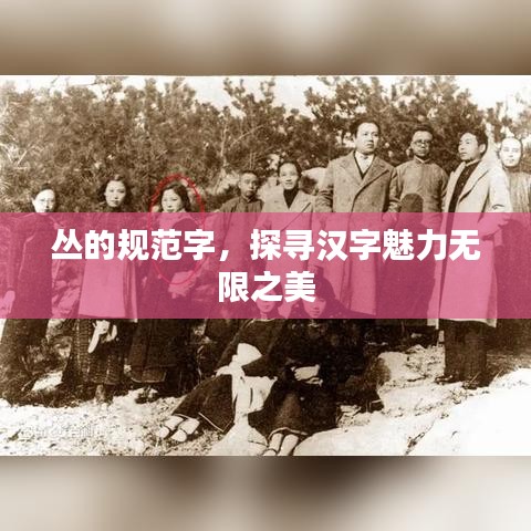 叢的規(guī)范字，探尋漢字魅力無限之美