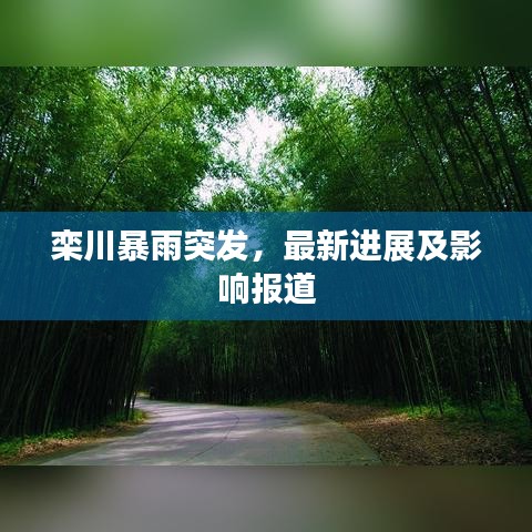 欒川暴雨突發(fā)，最新進展及影響報道