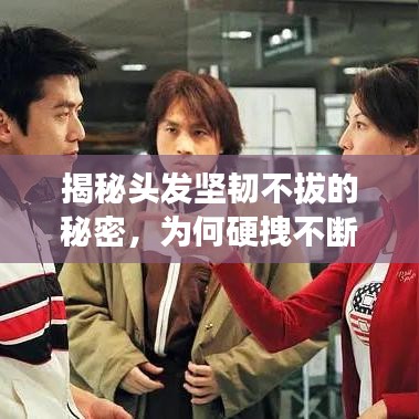 揭秘頭發(fā)堅韌不拔的秘密，為何硬拽不斷？