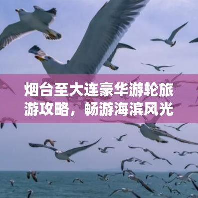 煙臺(tái)至大連豪華游輪旅游攻略，暢游海濱風(fēng)光，盡享海上盛宴！