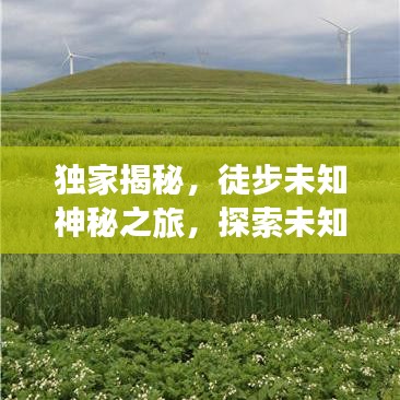 獨(dú)家揭秘，徒步未知神秘之旅，探索未知的極致體驗(yàn)