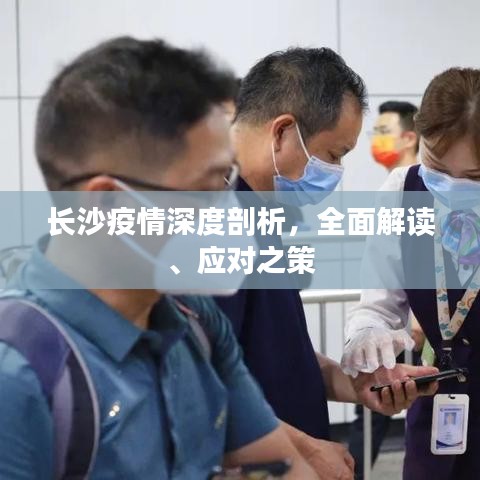 長沙疫情深度剖析，全面解讀、應(yīng)對之策