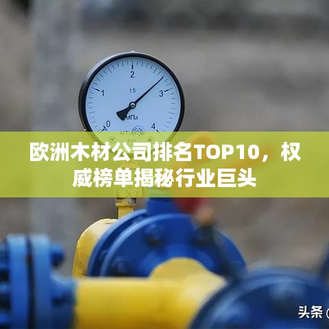 歐洲木材公司排名TOP10，權(quán)威榜單揭秘行業(yè)巨頭