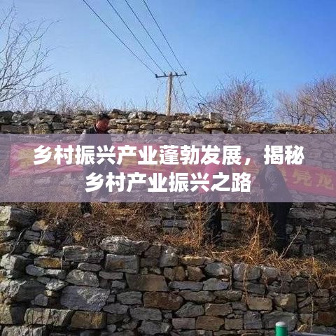 鄉(xiāng)村振興產(chǎn)業(yè)蓬勃發(fā)展，揭秘鄉(xiāng)村產(chǎn)業(yè)振興之路