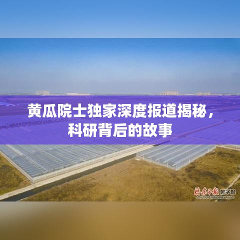 望其項(xiàng)背 第2頁(yè)