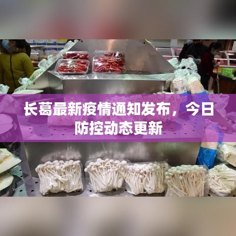 長葛最新疫情通知發(fā)布，今日防控動(dòng)態(tài)更新