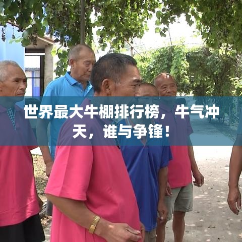 世界最大牛棚排行榜，牛氣沖天，誰與爭(zhēng)鋒！