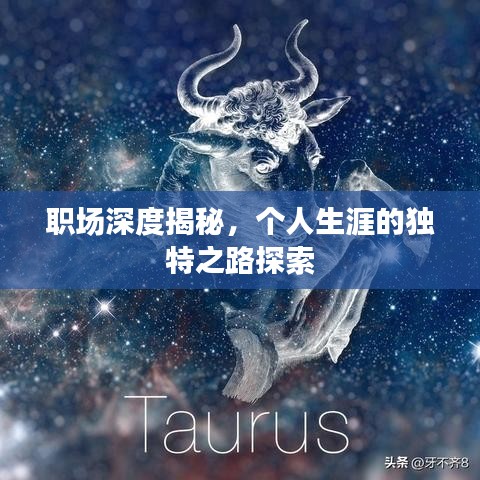職場(chǎng)深度揭秘，個(gè)人生涯的獨(dú)特之路探索