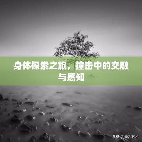 身體探索之旅，撞擊中的交融與感知