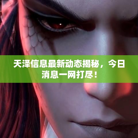 天澤信息最新動態(tài)揭秘，今日消息一網(wǎng)打盡！