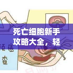 死亡細(xì)胞新手攻略大全，輕松上手游戲秘籍！