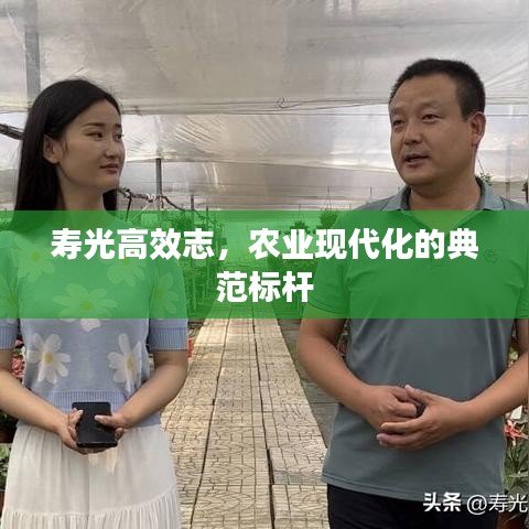 壽光高效志，農(nóng)業(yè)現(xiàn)代化的典范標桿