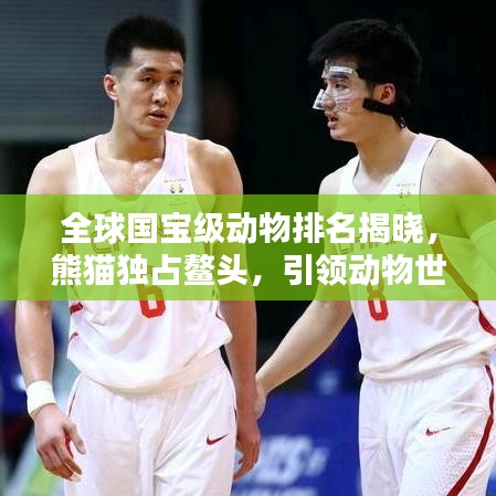 全球國寶級(jí)動(dòng)物排名揭曉，熊貓獨(dú)占鰲頭，引領(lǐng)動(dòng)物世界風(fēng)潮！
