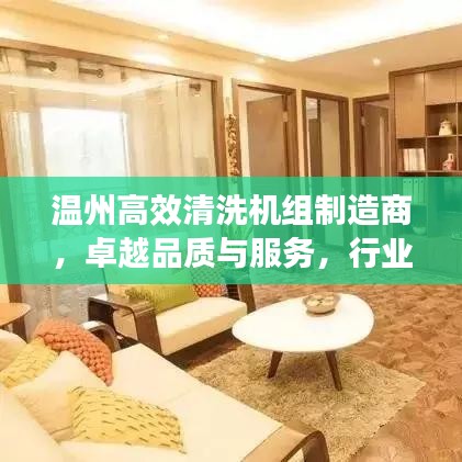 溫州高效清洗機(jī)組制造商，卓越品質(zhì)與服務(wù)，行業(yè)典范之選
