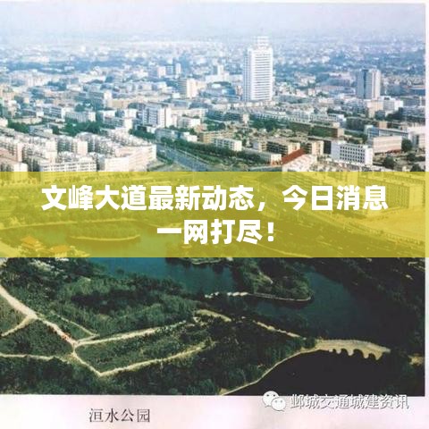 文峰大道最新動態(tài)，今日消息一網(wǎng)打盡！
