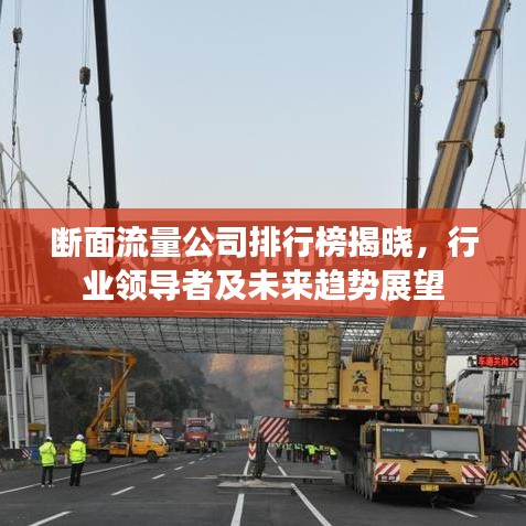 斷面流量公司排行榜揭曉，行業(yè)領(lǐng)導(dǎo)者及未來(lái)趨勢(shì)展望