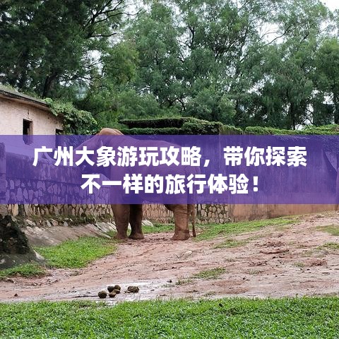 廣州大象游玩攻略，帶你探索不一樣的旅行體驗！