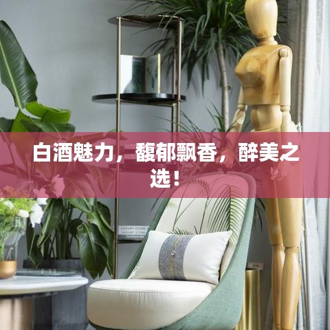 白酒魅力，馥郁飄香，醉美之選！