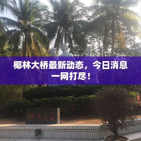 椰林大橋最新動態(tài)，今日消息一網(wǎng)打盡！