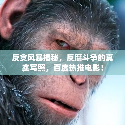 反貪風(fēng)暴揭秘，反腐斗爭的真實寫照，百度熱推電影！