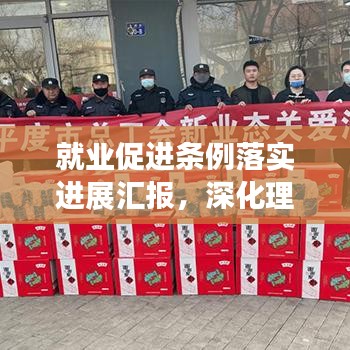 就業(yè)促進條例落實進展匯報，深化理解，積極行動