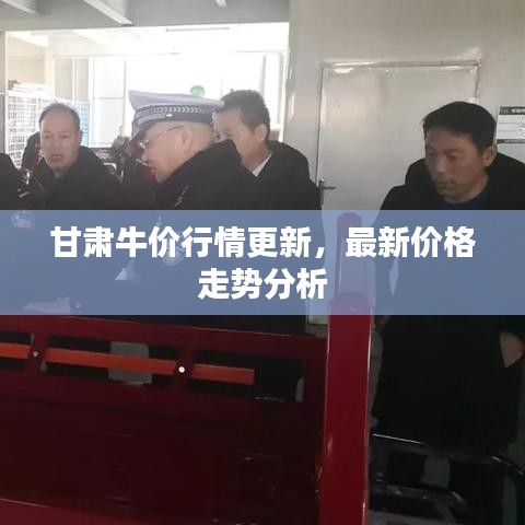甘肅牛價(jià)行情更新，最新價(jià)格走勢分析