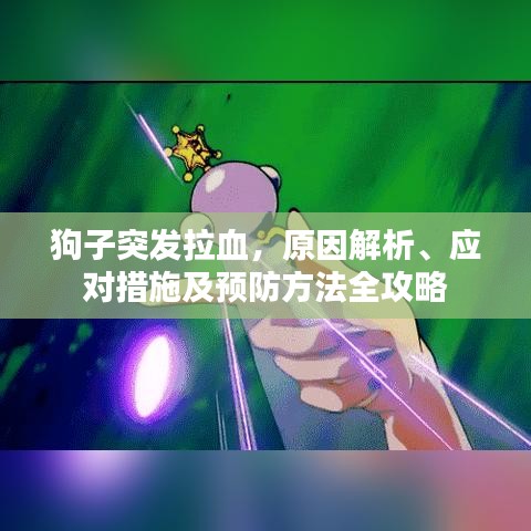 狗子突發(fā)拉血，原因解析、應(yīng)對(duì)措施及預(yù)防方法全攻略