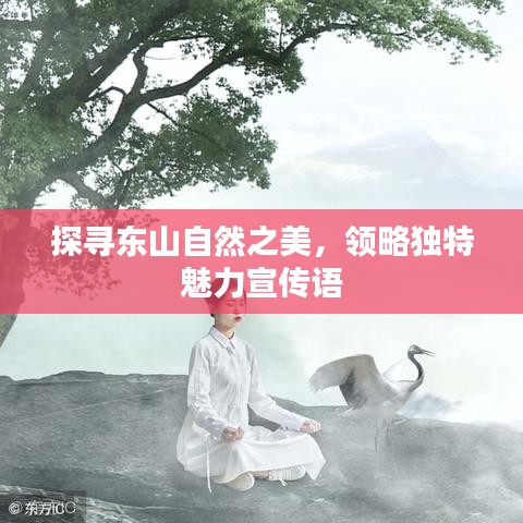 探尋東山自然之美，領(lǐng)略獨(dú)特魅力宣傳語