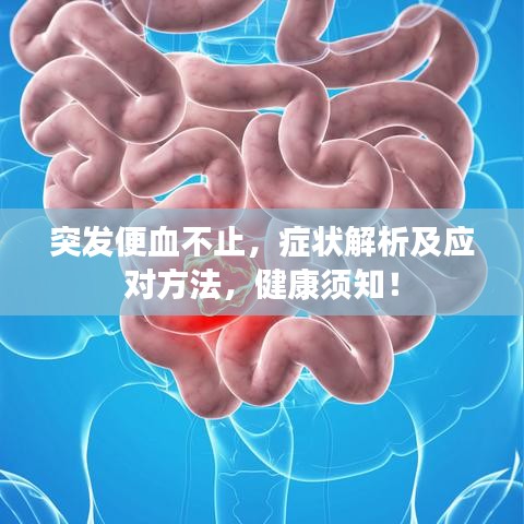 突發(fā)便血不止，癥狀解析及應(yīng)對(duì)方法，健康須知！