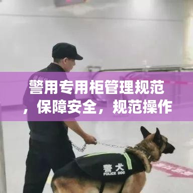 警用專用柜管理規(guī)范，保障安全，規(guī)范操作，提升警務效率