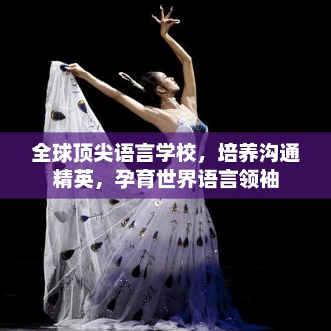 全球頂尖語言學(xué)校，培養(yǎng)溝通精英，孕育世界語言領(lǐng)袖