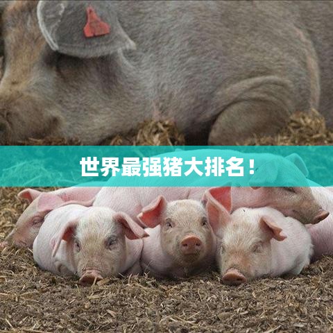 豐容盛鬋 第2頁
