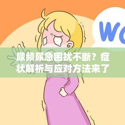 尿頻尿急困擾不斷？癥狀解析與應對方法來了！